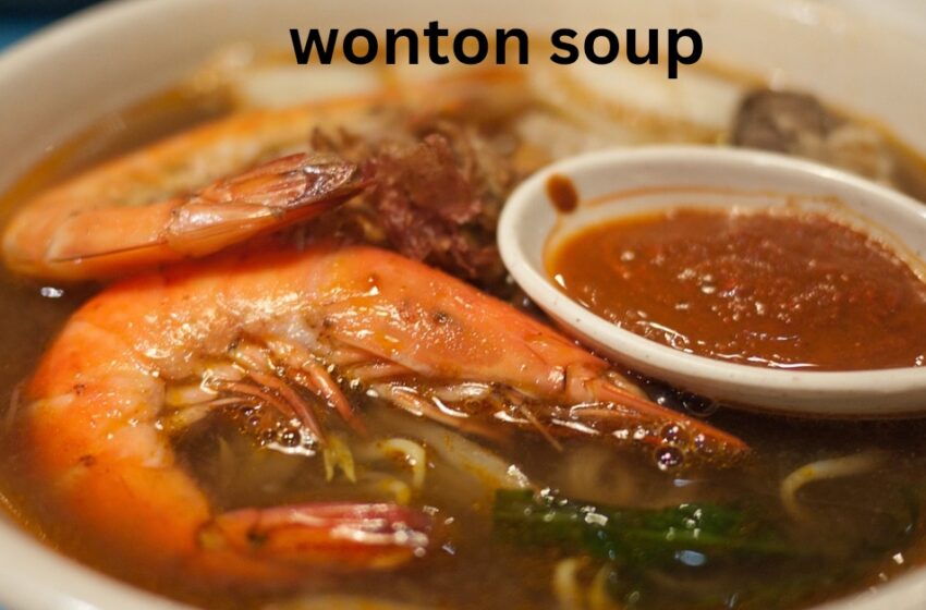 Wonton soup recipe