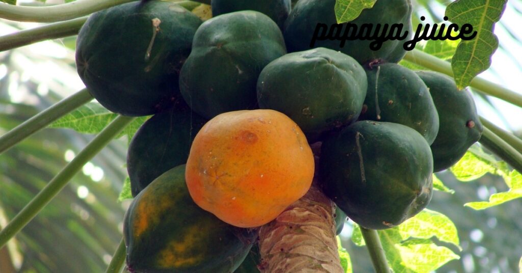 Papaya Juice Recipe