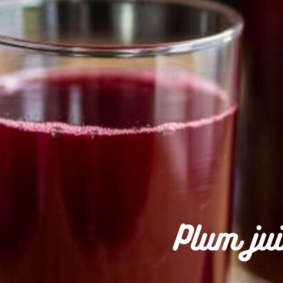 Method to make plum juice/new plum juice recipe