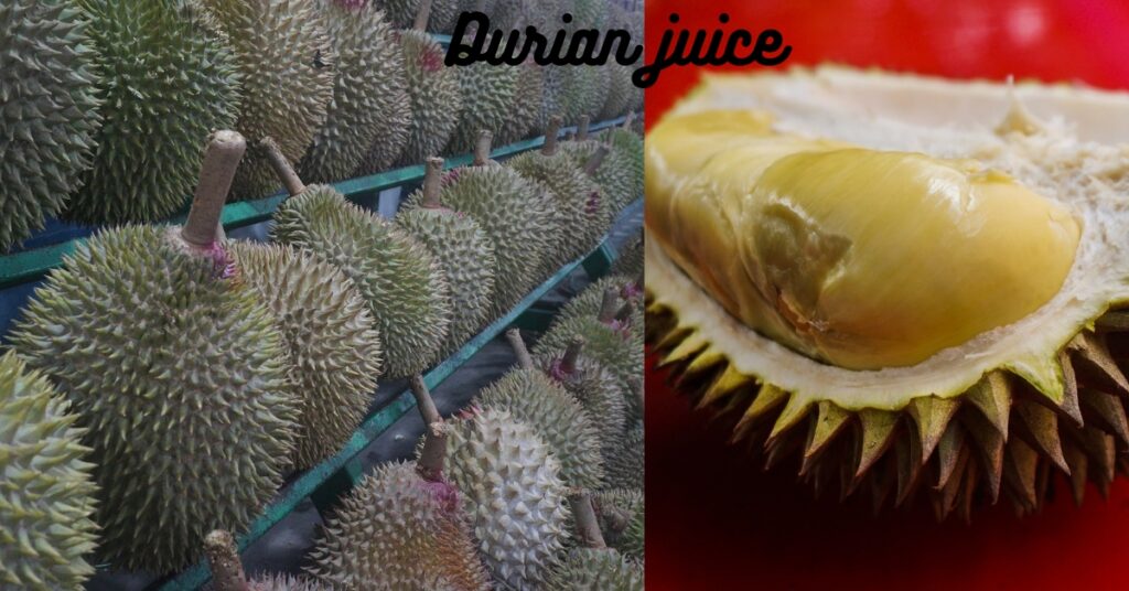 How to Make Easy Durian Juice Recipe