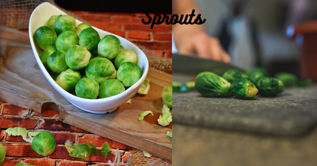 Best Brussels Sprouts Air Fryer Recipe