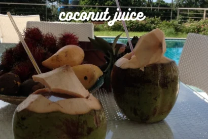 Thumbnail for How to make best coconut juice