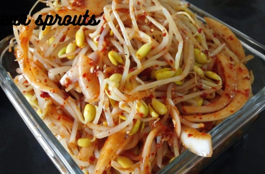 Health Food for Breakfast is Bean Sprouts. Recipe | Best Recipe | Healthy Bean Sprouts.