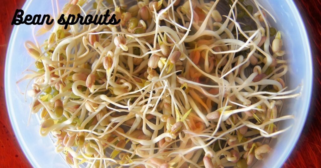 Health Food for Breakfast is Bean Sprouts. Recipe | Best Recipe | Healthy Bean Sprouts.